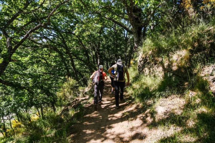 Dos hombres caminan al inicio del recorrido por una sendero protegido por la sombra de los árboles.