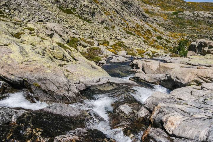 El agua corre con fuerza en la Garganta del Pinar que sirve de guía para la ruta.