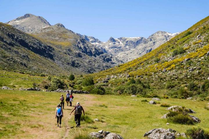 Una pradera se abre en el camino antes de llegar al refugio de la Barranca.