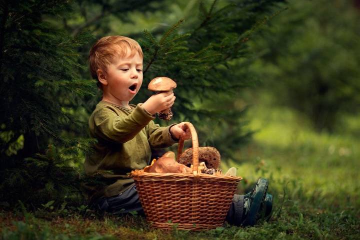 Las setas, un mundo sorprendente también para los peques. Foto: Shutterstock