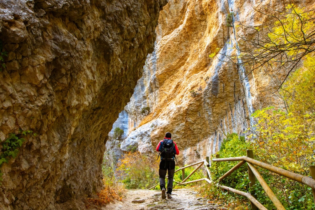 Un paseo otoñal entre las hayas e iglesias del río Purón