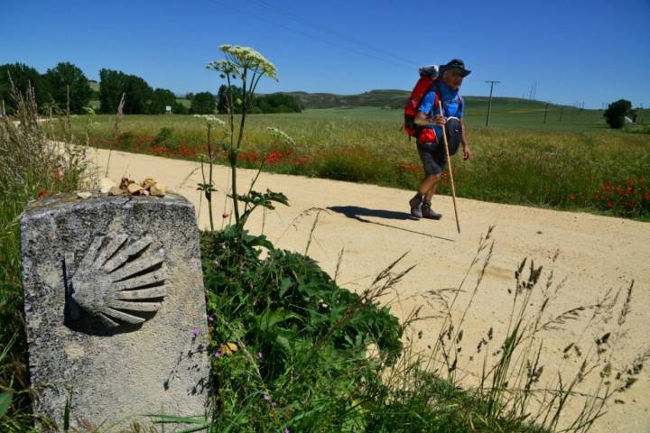 Viajes 2021: peregrino del Camino de Santiago