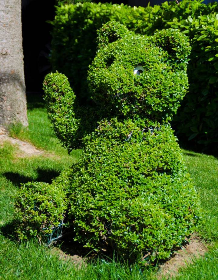 Hace más de 30 años que Losar de la Vera luce sus esculturas vegetales en la calle. No son obra del equipo de Tim Burton.