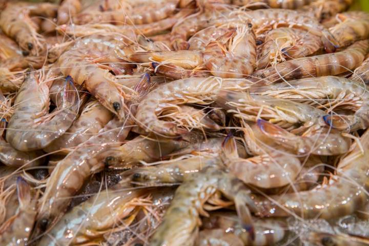 Langostinos de Vinaròs en la pescadería