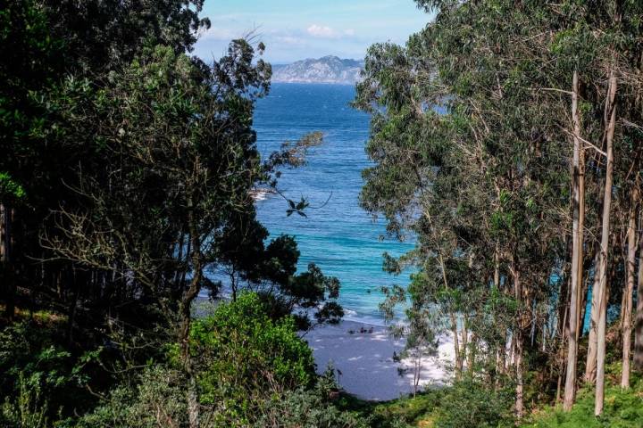 Entrada a la Playa de Figueiras (conocida como la de los Alemanes), la única nudista de Cíes.