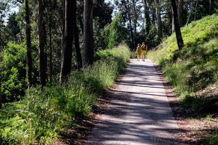 En algunas partes de las rutas que cruzan las islas la sombra acompaña a los caminantes.