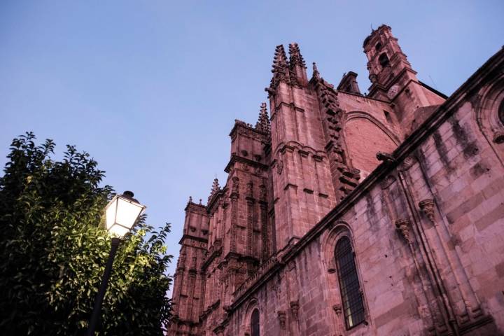 Vista de la catedral nueva iluminada al atardecer.