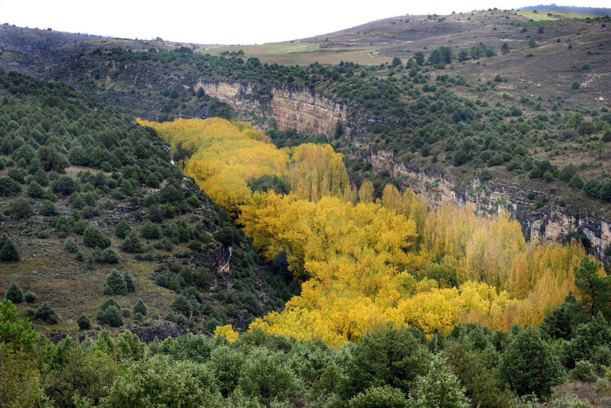 Así luce el Parque Natural de las Hoces del Río Duratón. Foto: © Marga Estebaranz
