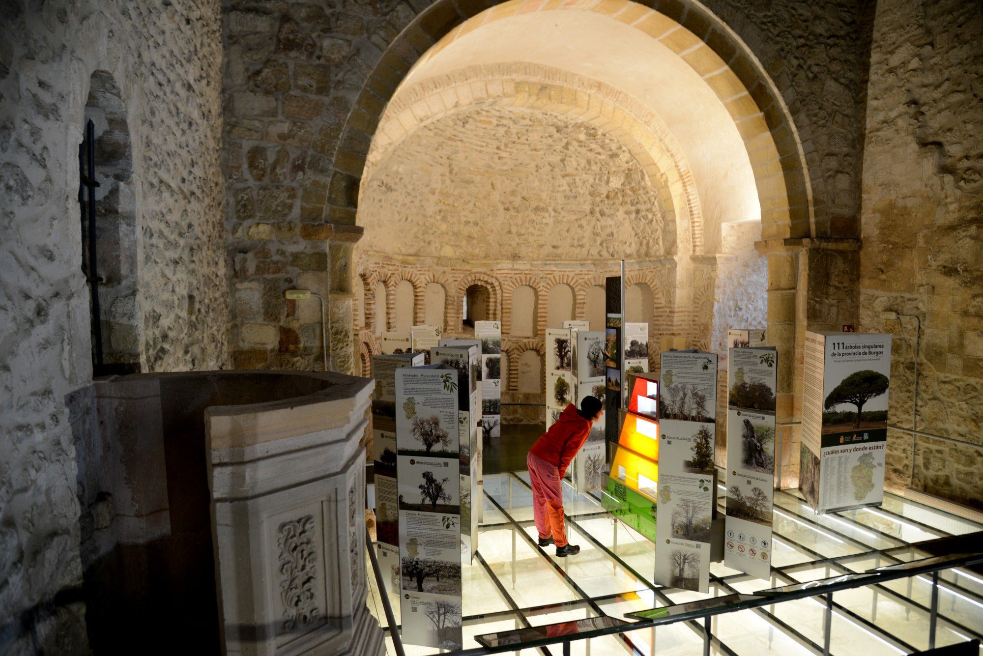 Centro de Visitantes del Parque Natural de las Hoces del Rio Duratón en la antigua iglesia de Santiago. Foto: © Alfredo Merino