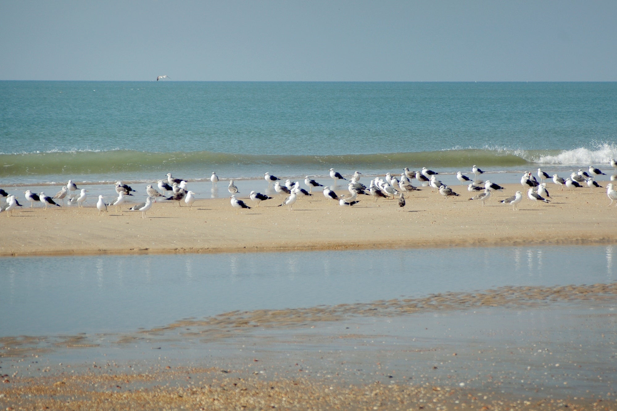 Playa Doñana