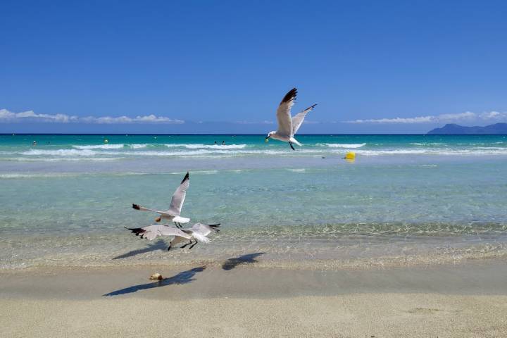 Playa Muros