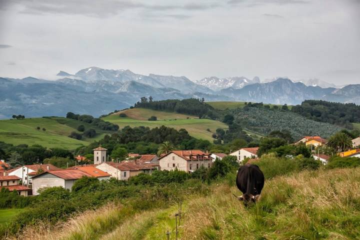 Los Picos de Europa desde el alto de Serdio