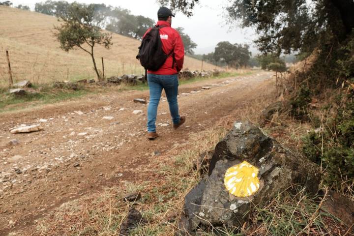 Camino de Santiago sevillano - Real de la Jara