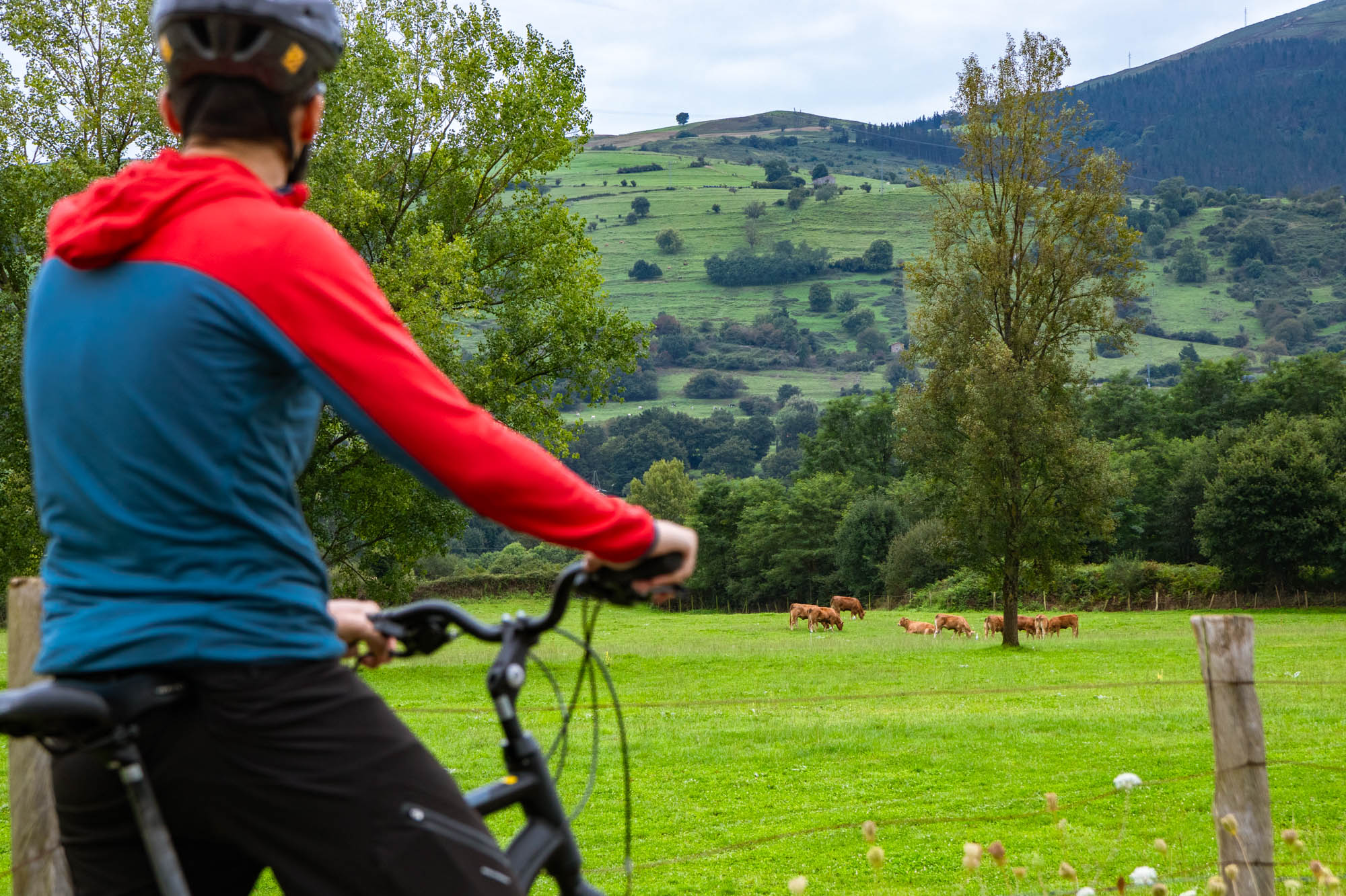 En bici por la Cantabria idílica de los Valles Pasiegos