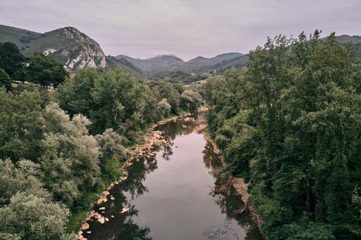 aerial view of the lonely and calm river with many stones surrounded by trees and vegetation on a cloudy day, nalon river, spain - Nature concept