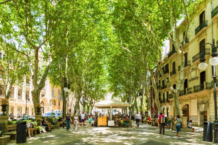 El relajado Paseo del Borne, en el centro de Palma. Foto: Shutterstock.