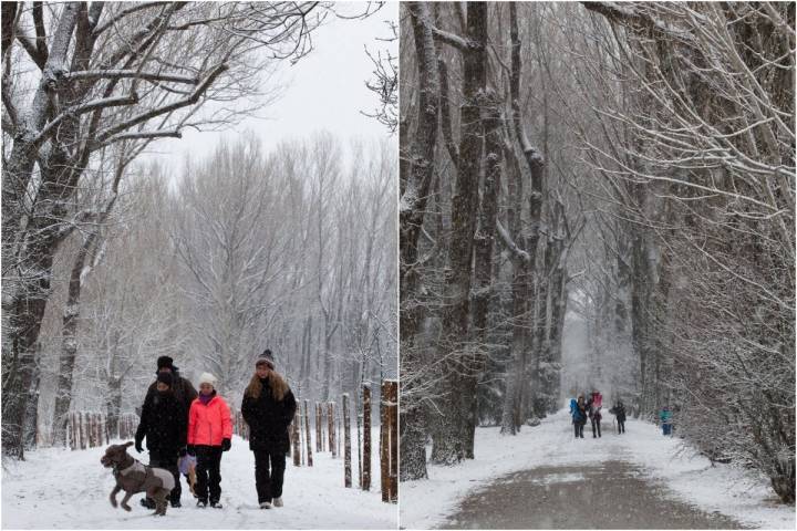 Los niños aprovechan para tirarse con sus trineos y hacer guerras de bolas de nieve.