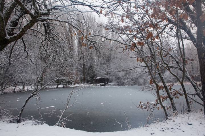 El bosque de Finlandia, con su característica casa de madera, sauna y lago.