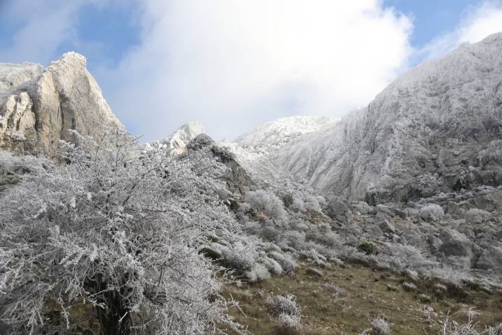 Pirineos del Sur Málaga