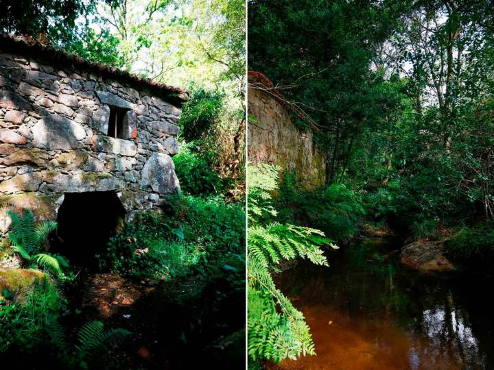 Fotomontaje de paisajes en el parque natural del Monte Aloia.