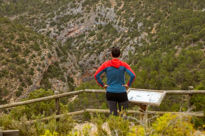 Vistas del cañón desde el Mirador del Ebrón