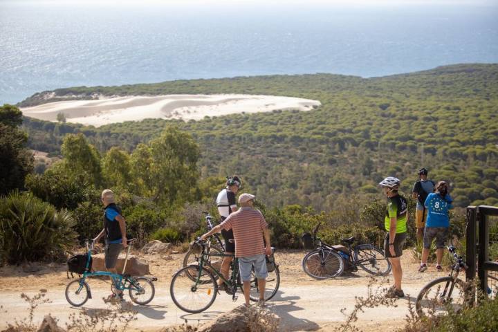 bolonia bici