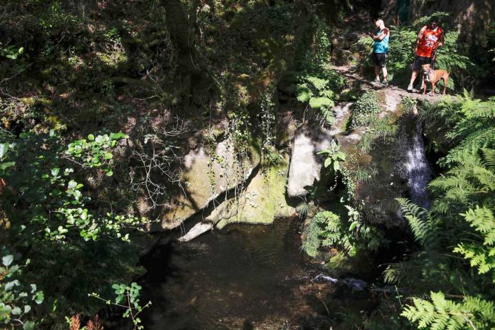 Pozas en el Monte Aloia.