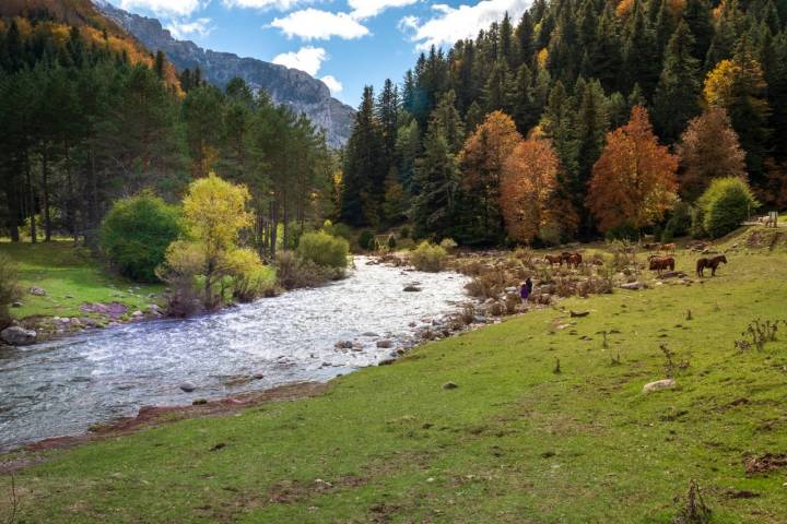 Una estampa inolvidable a orillas del río Aragón Subordán.