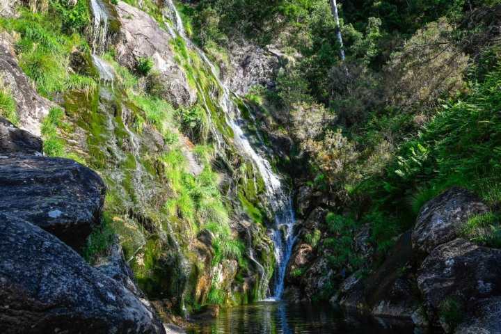 La cascada do Cadarnoxo cae en medio del bosquey, a sus pies, mansa, una poza natural.