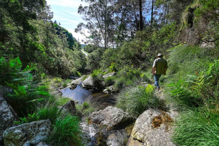 Camino de la cascada do Cadarnoxo.