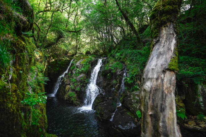 La cascada de Santa Leocadia no es el mejor lugar para un baño, aunque es posible dárselo si el calor aprieta.