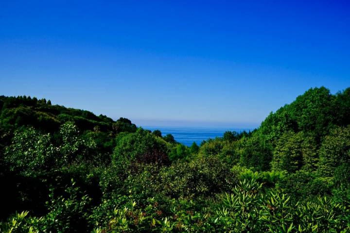 Vistas desde los jardines de la Fonte Baixa, en Luarca (Asturias).