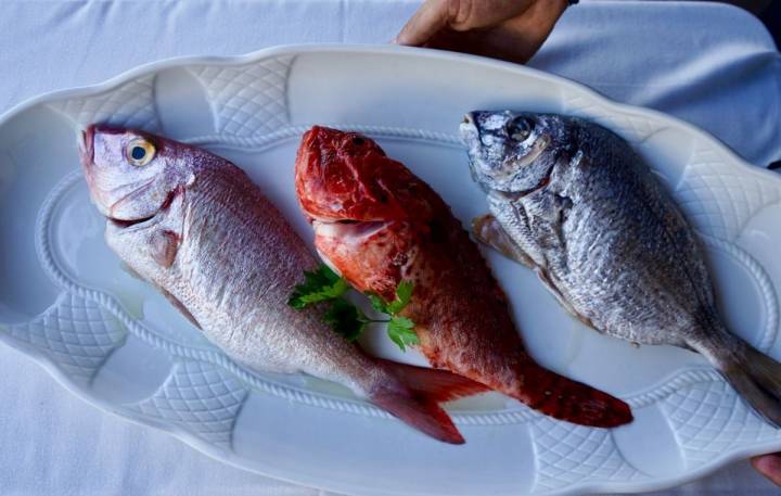 Pescados del restaurante Sport, en Luarca, Asturias.