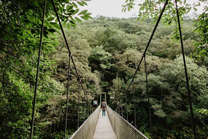 Uno de los dos puentes colgantes sobre el río Eume, para hacerse un buen Indiana Jones.