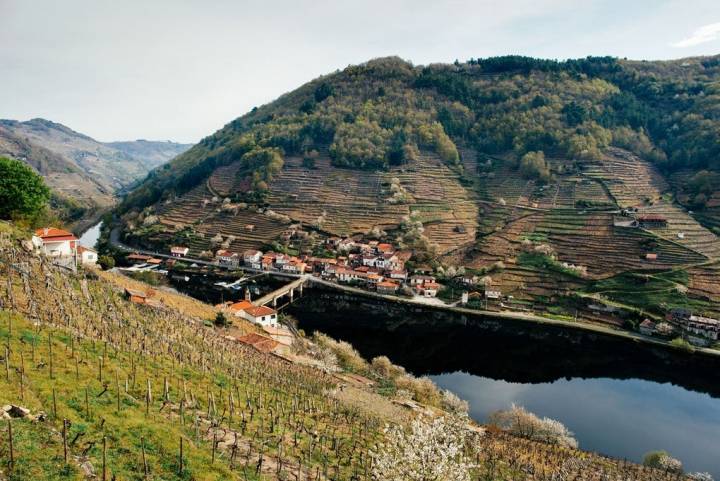 Vista del Miño a su paso por Belesar en Ribeira Sacra. Foto: Nuria Sambade.