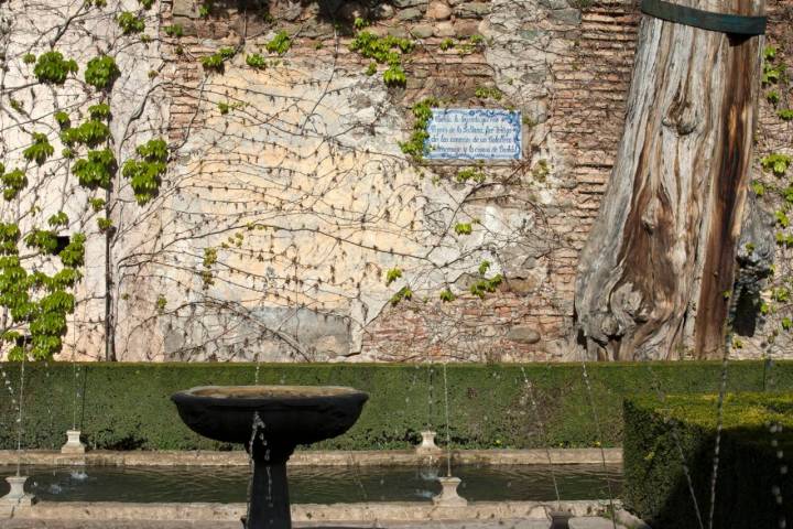 cipres generalife