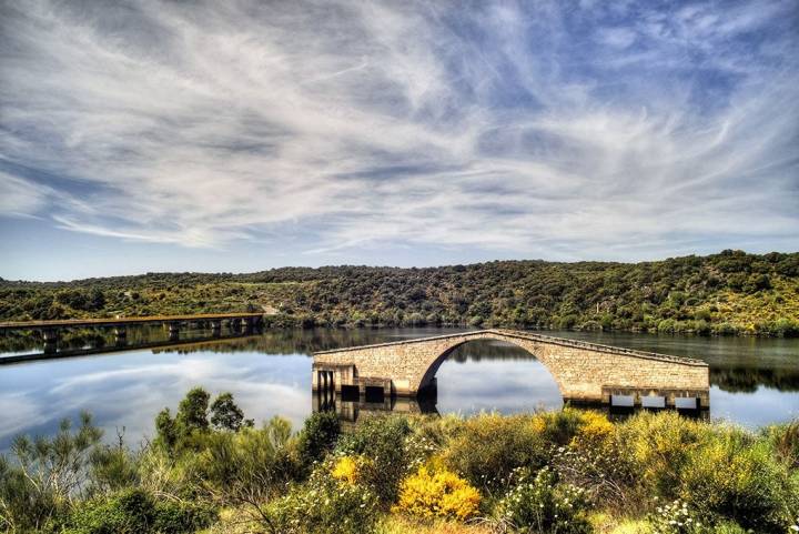 Un puente romano perdido en medio del pantano.