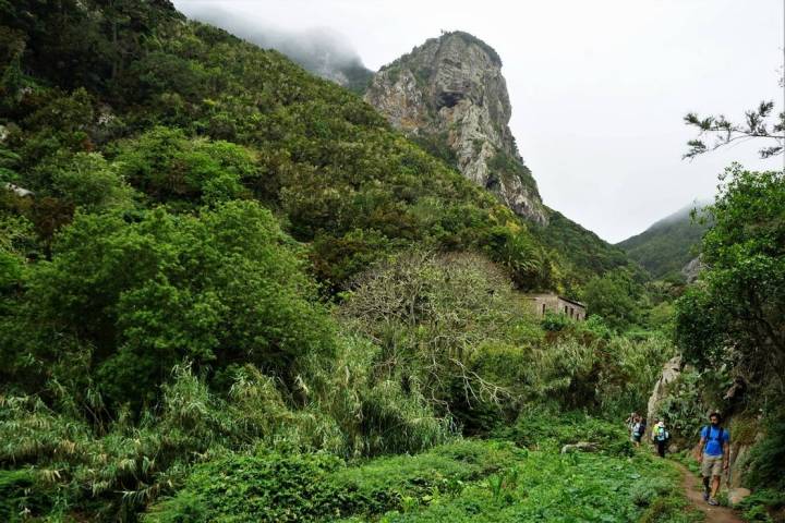 ruta tenerife salvaje jungla tenerife