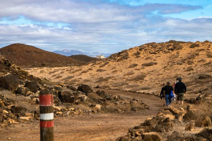 Varios senderos permiten hacer excursiones al emblemático faro de Lobos.