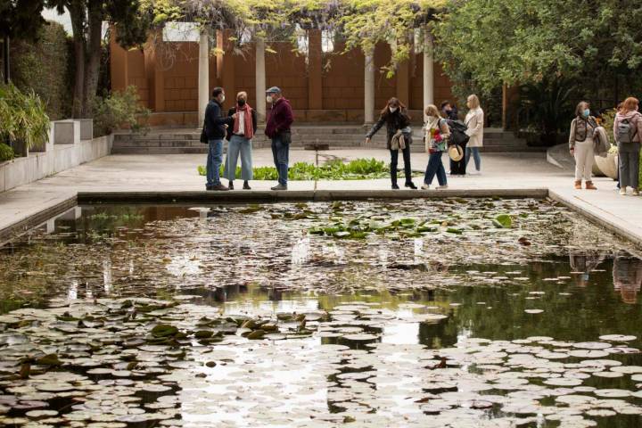 En el jardín también hay plantas acuáticas.