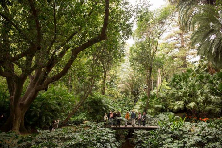 Paseando por el puente del jardín histórico.