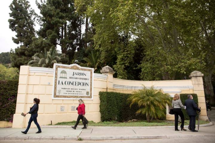 Entrada del jardín.