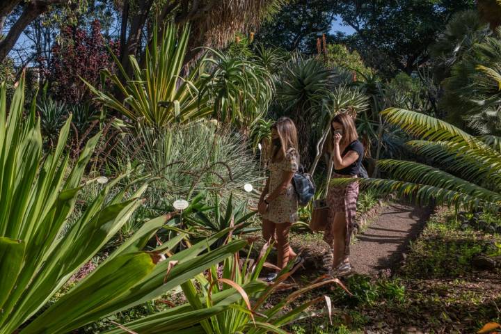 Jardín de la Orotava (Tenerife)