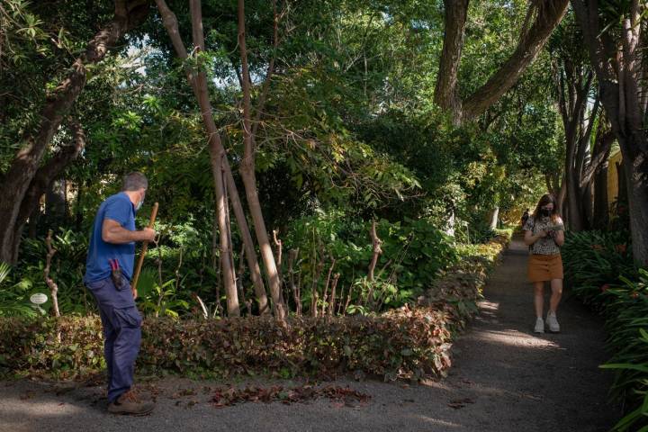 Son muchos los trabajadores que mantienen en buen estado el jardín.