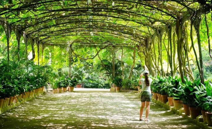 La Concepción Jardín Botánico Histórico de Málaga.