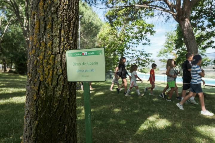 Varios campamentos infantiles desarrollan sus actividades en la piscina.