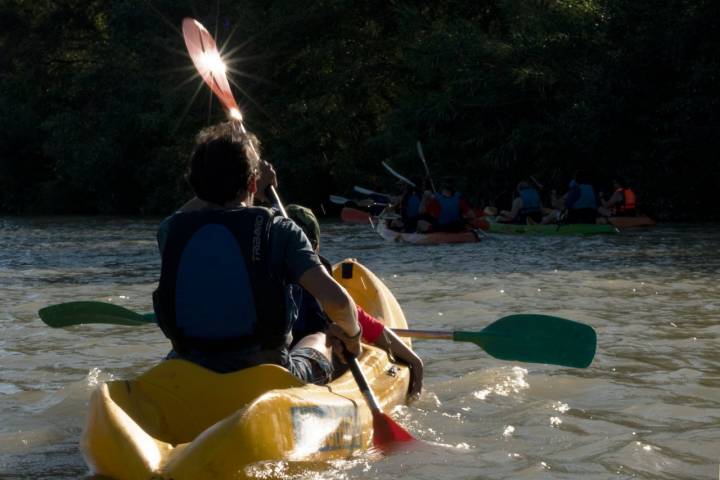 Fernando y Curro se adentran en el río remando. El agua está limpia, a pesar de que el fondo es de limo y  de un color verdoso.