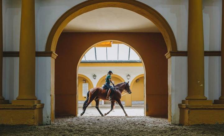 Jinete montando a caballo.