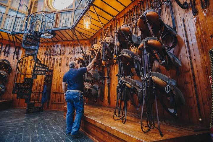 Sillas y guarniciones de los caballos de la Real Escuela Andaluza de Arte Ecuestre.