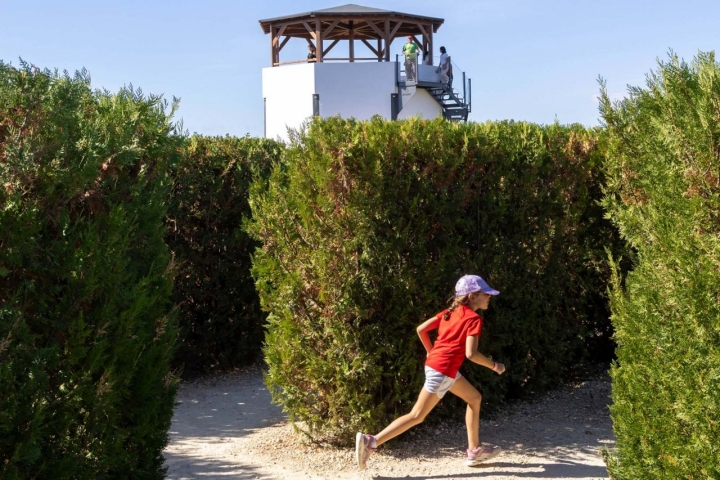 Niña corriendo entre los setos.